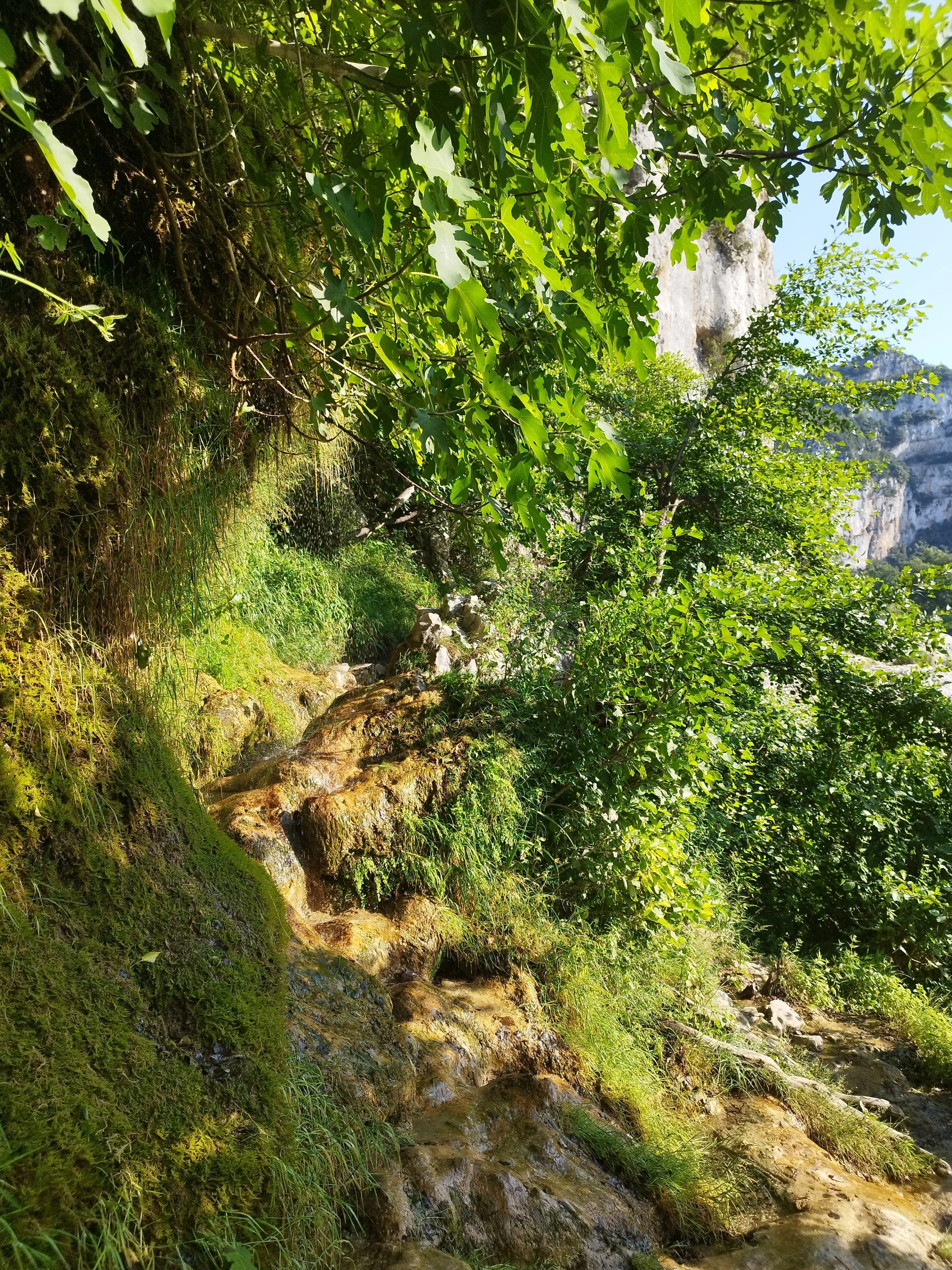 image centre d'interet Aodren Floride 