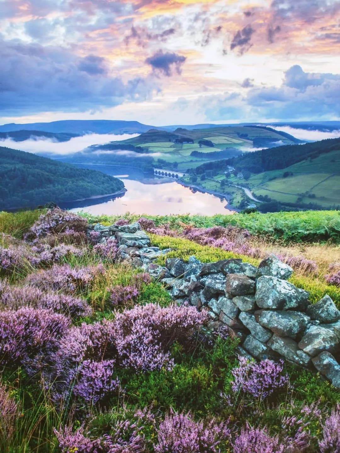 image centre d'interet Aodren Floride 